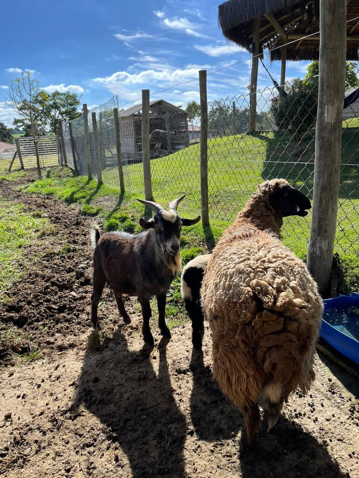 La Palma Hotel Fazenda Індаятуба Екстер'єр фото
