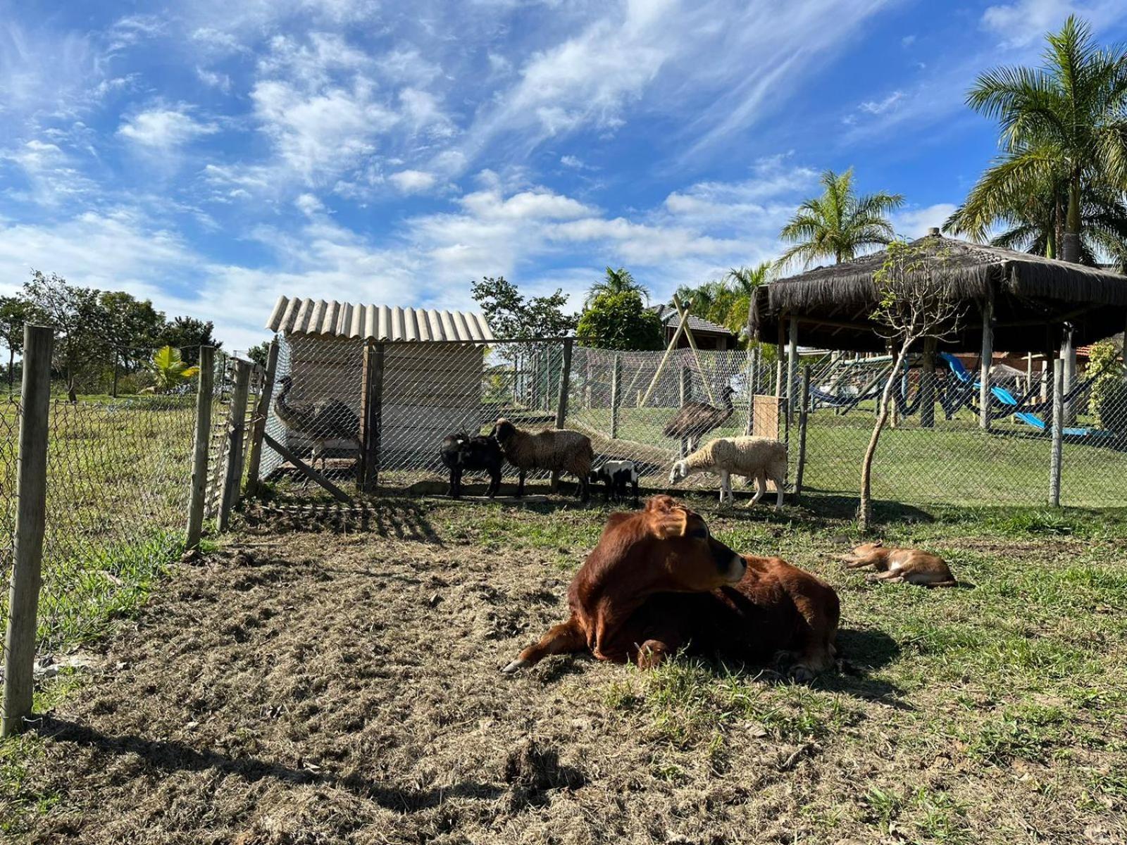 La Palma Hotel Fazenda Індаятуба Екстер'єр фото